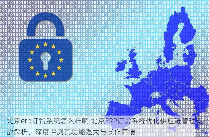 北京erp订货系统怎么样啊 北京ERP订货系统优化供应链管理实战解析，深度评测其功能强大与操作简便