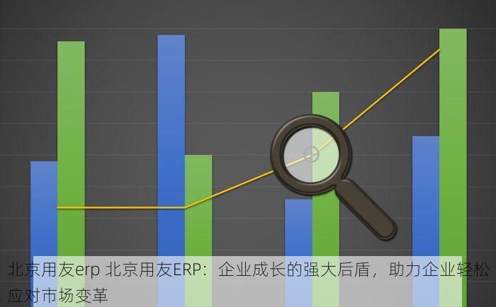 北京用友erp 北京用友ERP：企业成长的强大后盾，助力企业轻松应对市场变革