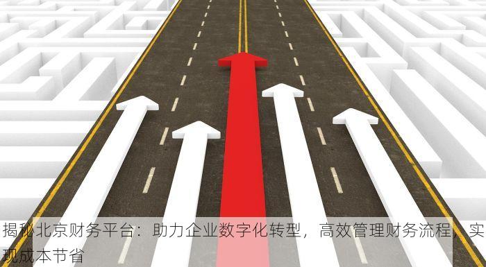 揭秘北京财务平台：助力企业数字化转型，高效管理财务流程，实现成本节省