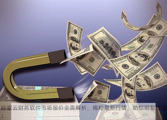 哈密云财务软件市场报价全面解析，揭秘最新行情，助你明智选购！