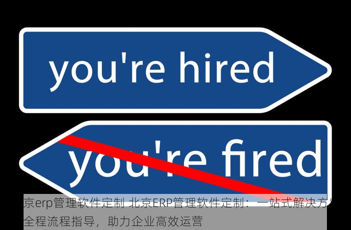 北京erp管理软件定制 北京ERP管理软件定制：一站式解决方案与全程流程指导，助力企业高效运营