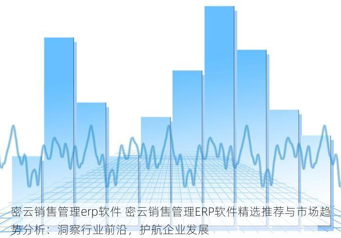 密云销售管理erp软件 密云销售管理ERP软件精选推荐与市场趋势分析：洞察行业前沿，护航企业发展