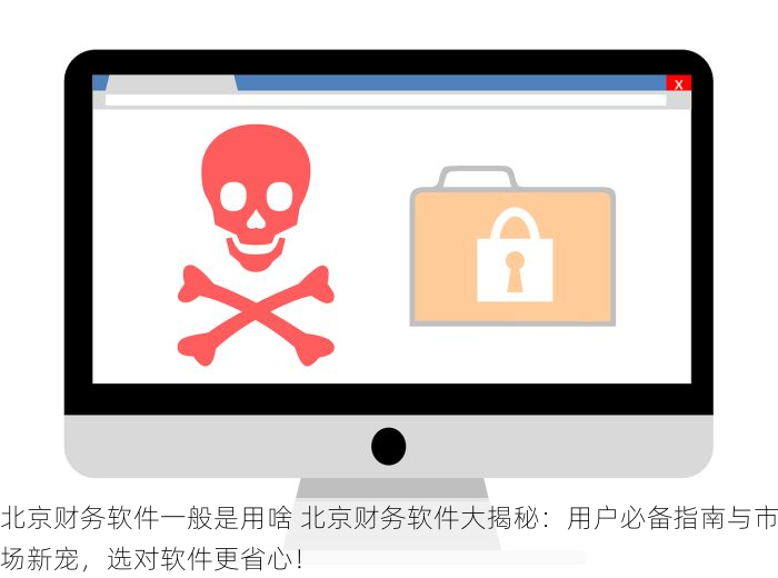 北京财务软件一般是用啥 北京财务软件大揭秘：用户必备指南与市场新宠，选对软件更省心！