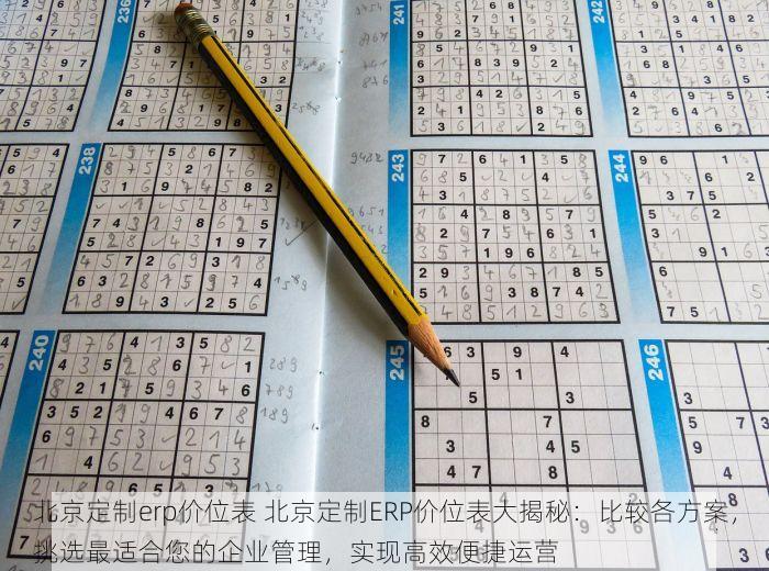 北京定制erp价位表 北京定制ERP价位表大揭秘：比较各方案，挑选最适合您的企业管理，实现高效便捷运营