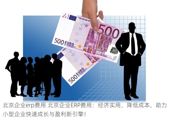 北京企业erp费用 北京企业ERP费用：经济实用，降低成本，助力小型企业快速成长与盈利新引擎！