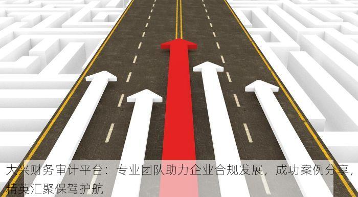 北京财务软件代理商：提供全方位财务解决方案，探索如何选择合适的合作伙伴