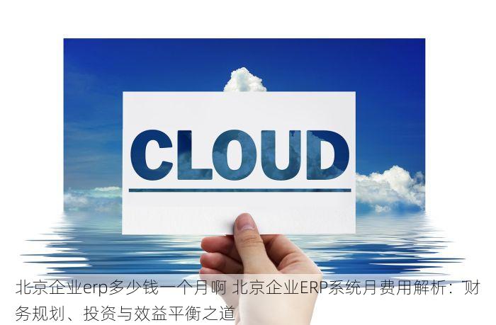北京企业erp多少钱一个月啊 北京企业ERP系统月费用解析：财务规划、投资与效益平衡之道