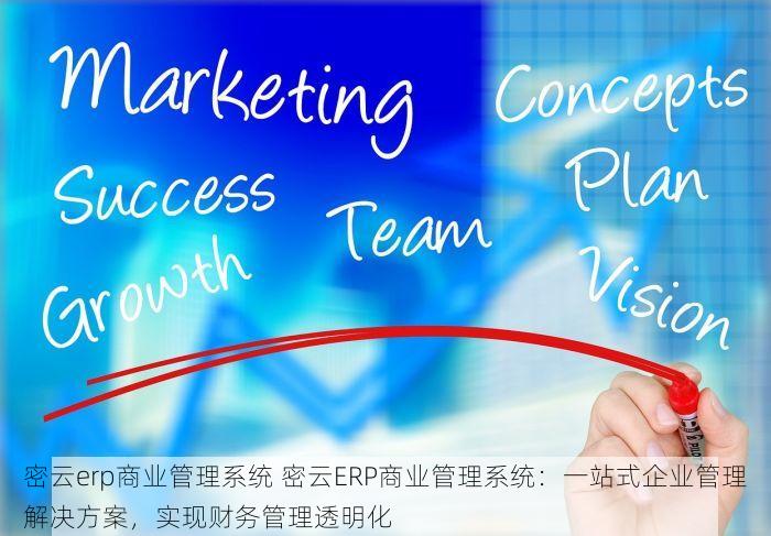 密云erp商业管理系统 密云ERP商业管理系统：一站式企业管理解决方案，实现财务管理透明化