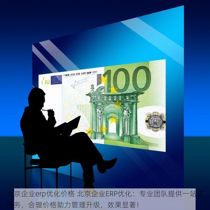 北京企业erp优化价格 北京企业ERP优化：专业团队提供一站式服务，合理价格助力管理升级，效果显著！