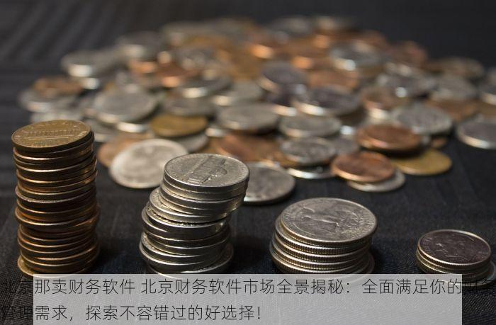 北京那卖财务软件 北京财务软件市场全景揭秘：全面满足你的财务管理需求，探索不容错过的好选择！