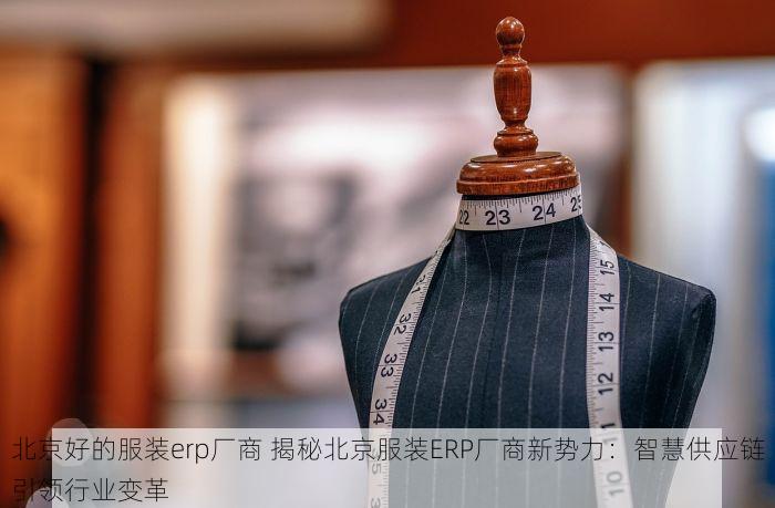 北京好的服装erp厂商 揭秘北京服装ERP厂商新势力：智慧供应链引领行业变革