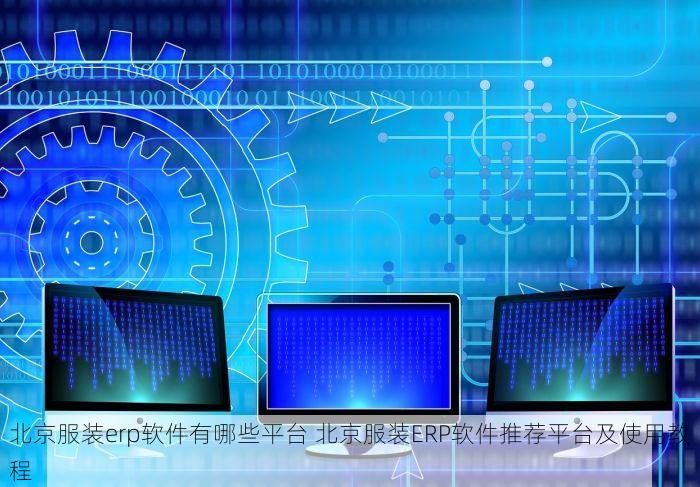 优化管理与效益提升：昌平美团ERP实战案例与定制服务详解