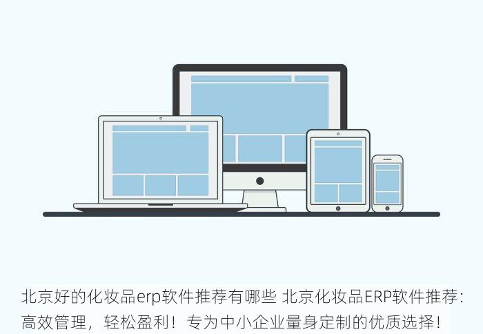北京好的化妆品erp软件推荐有哪些 北京化妆品ERP软件推荐：高效管理，轻松盈利！专为中小企业量身定制的优质选择！
