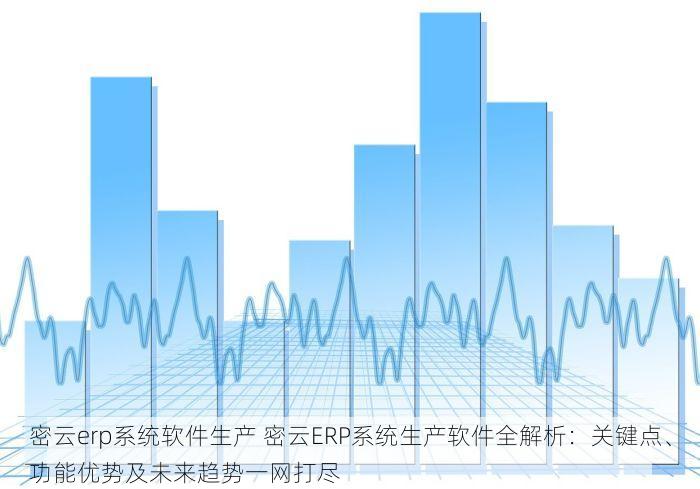 密云erp系统软件生产 密云ERP系统生产软件全解析：关键点、功能优势及未来趋势一网打尽