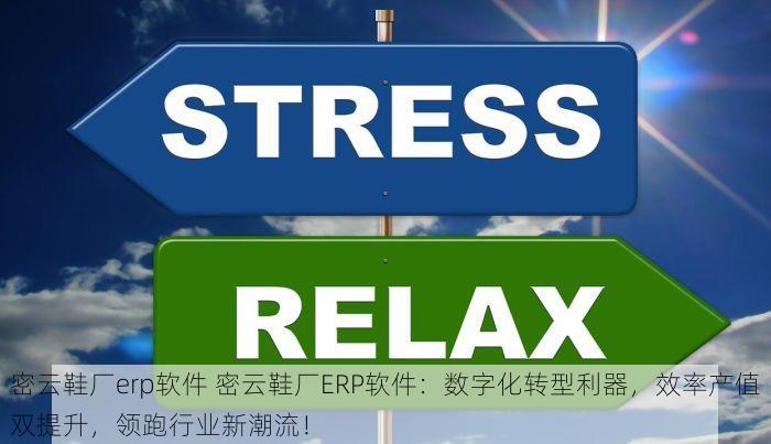密云鞋厂erp软件 密云鞋厂ERP软件：数字化转型利器，效率产值双提升，领跑行业新潮流！