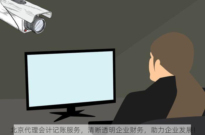 北京代理会计记账服务，清晰透明企业财务，助力企业发展！