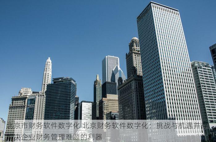北京市财务软件数字化 北京财务软件数字化：挑战与机遇并存，解决企业财务管理难题的利器