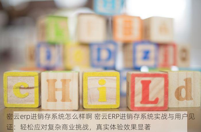 北京进项发票管理 北京发票管理实用指南：个体户申领与餐饮业新规解析