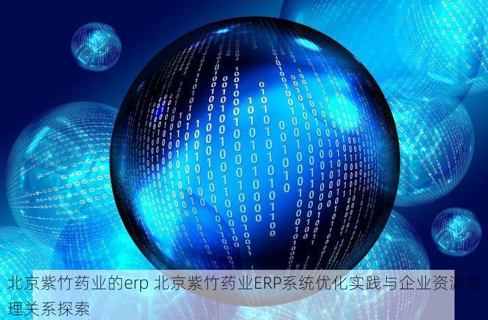 北京紫竹药业的erp 北京紫竹药业ERP系统优化实践与企业资源管理关系探索