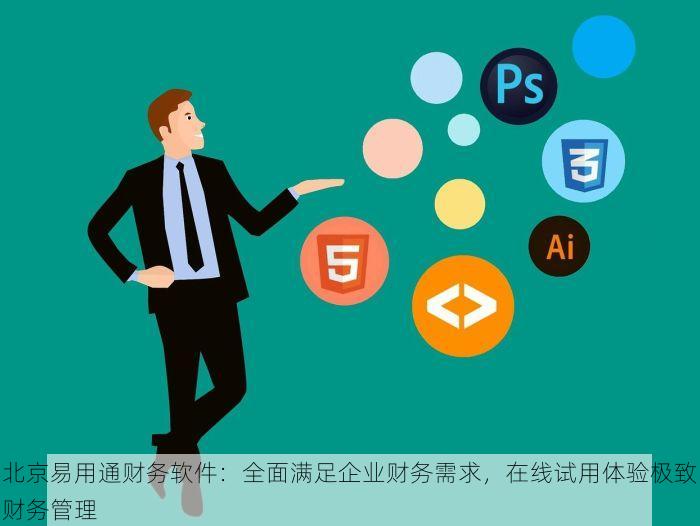 北京易用通财务软件：全面满足企业财务需求，在线试用体验极致财务管理