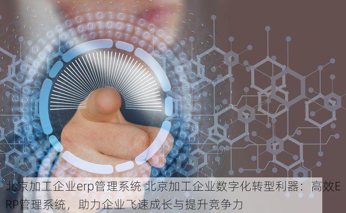 北京加工企业erp管理系统 北京加工企业数字化转型利器：高效ERP管理系统，助力企业飞速成长与提升竞争力