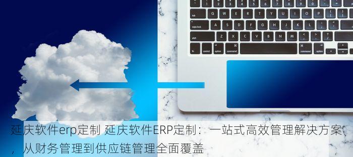 延庆软件erp定制 延庆软件ERP定制：一站式高效管理解决方案，从财务管理到供应链管理全面覆盖