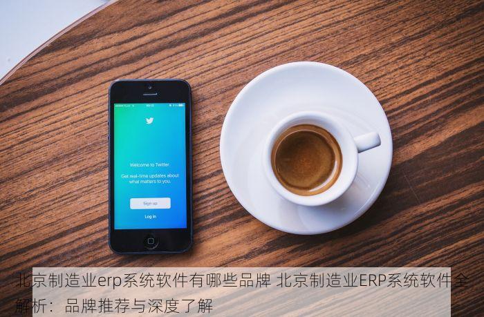 北京制造业erp系统软件有哪些品牌 北京制造业ERP系统软件全解析：品牌推荐与深度了解