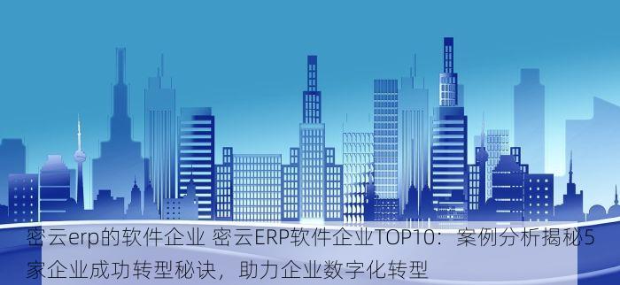 密云erp的软件企业 密云ERP软件企业TOP10：案例分析揭秘5家企业成功转型秘诀，助力企业数字化转型