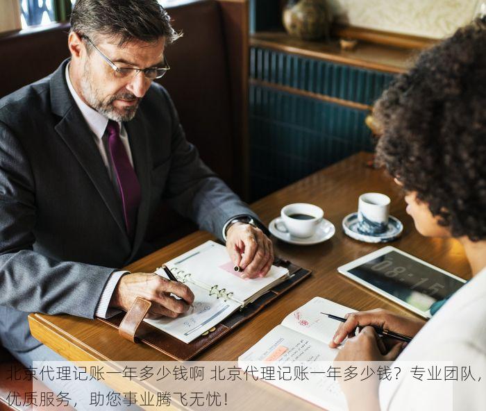 北京畅捷通易代账软件怎么样 北京畅捷通易代账软件优缺点分析，中小企业选择建议