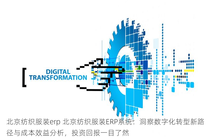 北京纺织服装erp 北京纺织服装ERP系统：洞察数字化转型新路径与成本效益分析，投资回报一目了然