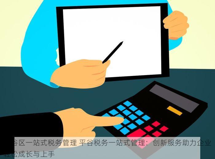 平谷区一站式税务管理 平谷税务一站式管理：创新服务助力企业轻松成长与上手