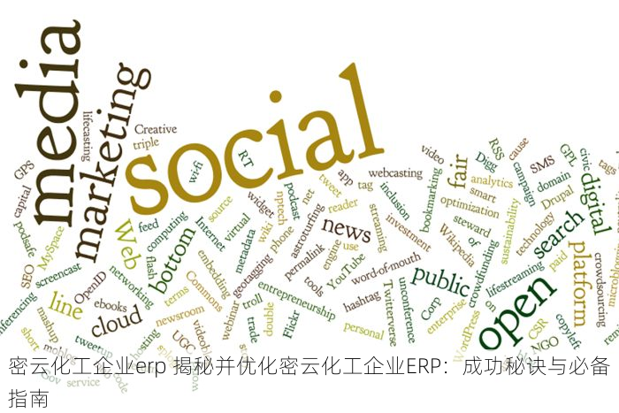 密云化工企业erp 揭秘并优化密云化工企业ERP：成功秘诀与必备指南