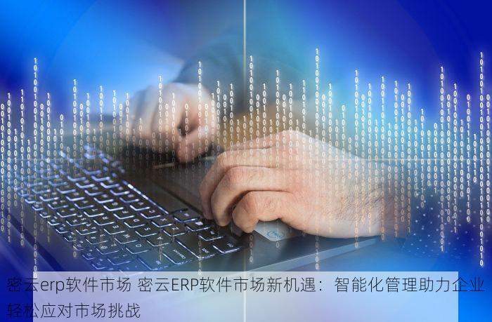 密云erp软件市场 密云ERP软件市场新机遇：智能化管理助力企业轻松应对市场挑战