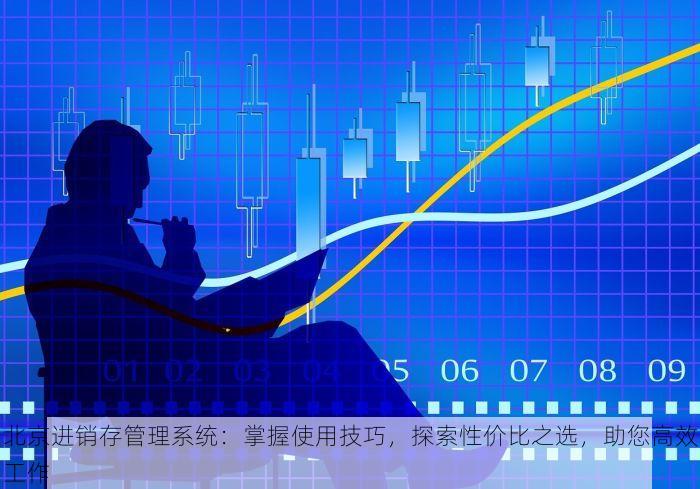 北京面料erp个性化定制 北京面料ERP定制专家：个性化解决方案与全面服务