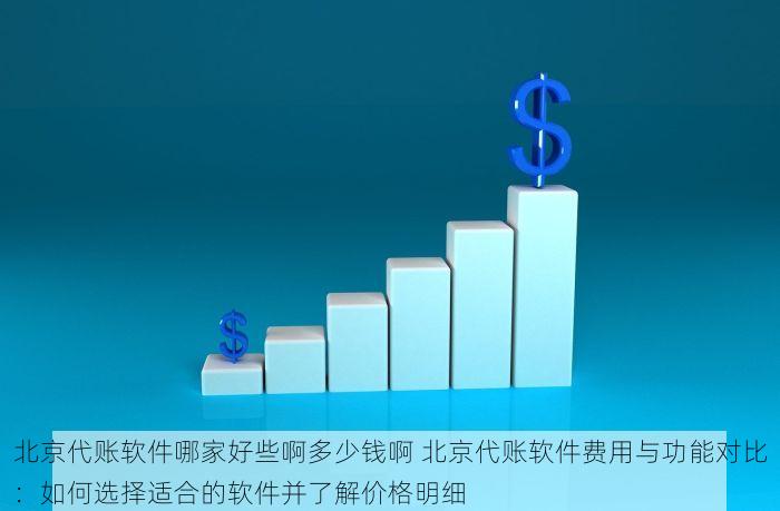 北京代账软件哪家好些啊多少钱啊 北京代账软件费用与功能对比：如何选择适合的软件并了解价格明细