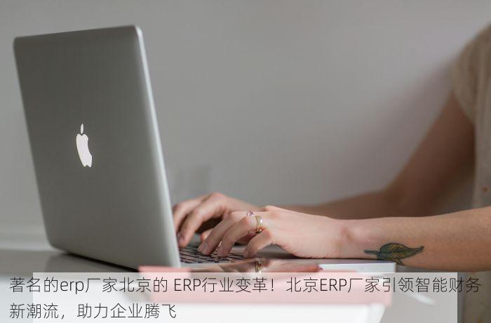 著名的erp厂家北京的 ERP行业变革！北京ERP厂家引领智能财务新潮流，助力企业腾飞