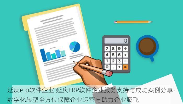 延庆erp软件企业 延庆ERP软件企业服务支持与成功案例分享-数字化转型全方位保障企业运营与助力企业腾飞