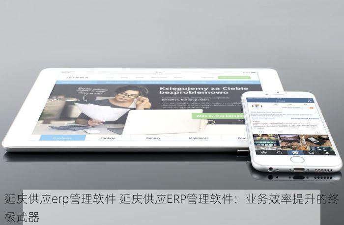 延庆供应erp管理软件 延庆供应ERP管理软件：业务效率提升的终极武器