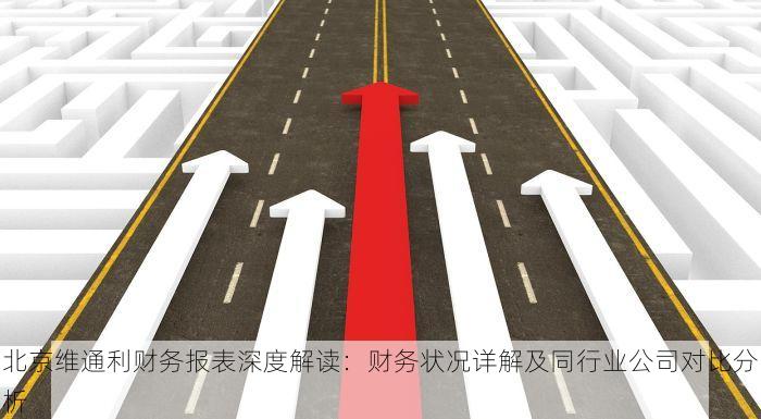 北京维通利财务报表深度解读：财务状况详解及同行业公司对比分析