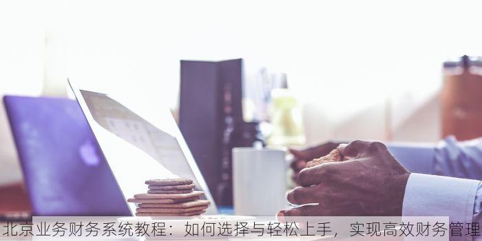 北京业务财务系统教程：如何选择与轻松上手，实现高效财务管理
