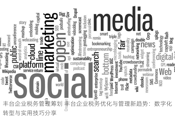 丰台企业税务管理筹划 丰台企业税务优化与管理新趋势：数字化转型与实用技巧分享