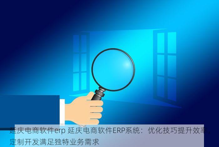 延庆电商软件erp 延庆电商软件ERP系统：优化技巧提升效率，定制开发满足独特业务需求