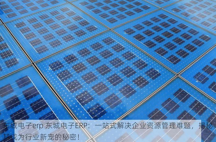 东城电子erp 东城电子ERP：一站式解决企业资源管理难题，揭秘其成为行业新宠的秘密！