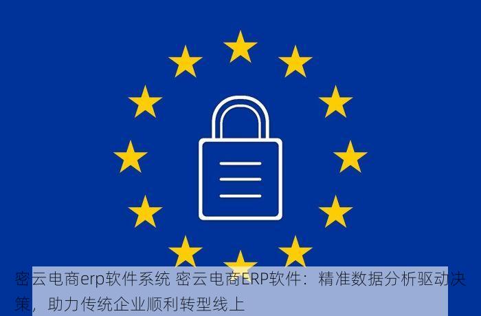 密云电商erp软件系统 密云电商ERP软件：精准数据分析驱动决策，助力传统企业顺利转型线上