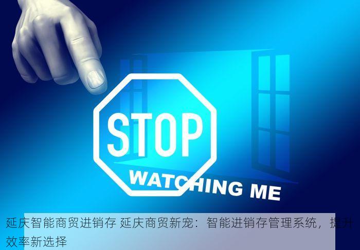 北京石油发票打印软件：高效解决方案