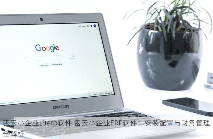 密云小企业的erp软件 密云小企业ERP软件：安装配置与财务管理全解析