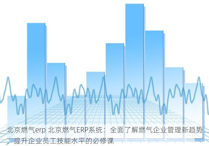 北京燃气erp 北京燃气ERP系统：全面了解燃气企业管理新趋势，提升企业员工技能水平的必修课