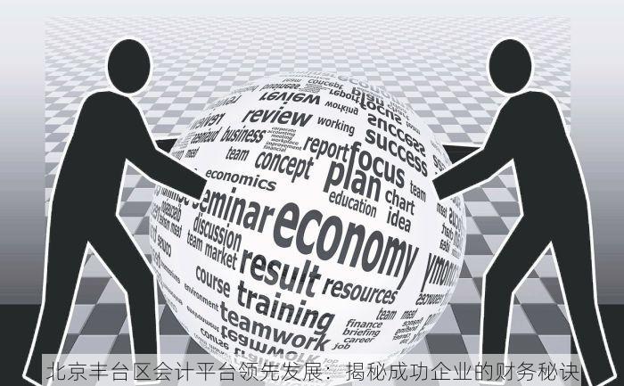 北京丰台区会计平台领先发展：揭秘成功企业的财务秘诀