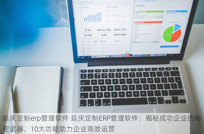 延庆定制erp管理软件 延庆定制ERP管理软件：揭秘成功企业的秘密武器，10大功能助力企业高效运营