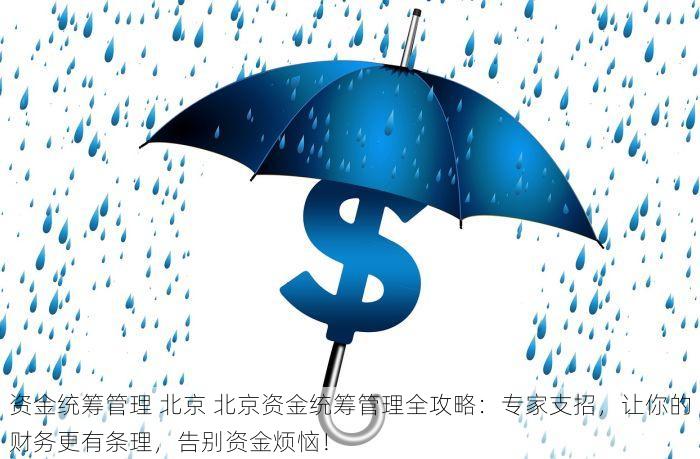 资金统筹管理 北京 北京资金统筹管理全攻略：专家支招，让你的财务更有条理，告别资金烦恼！